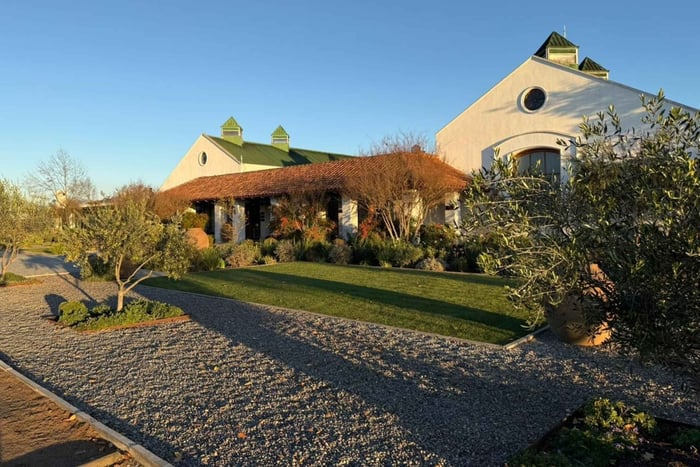 Casas del Bosque : dégustation de vin, déjeuner et transfert