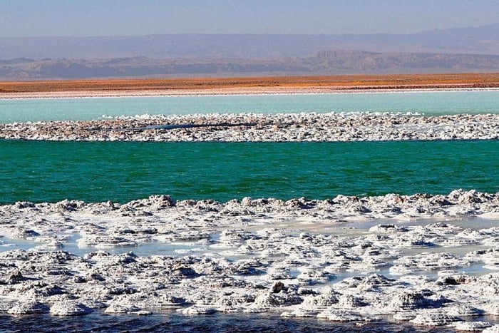 CEJAR LAGOON, SALT EYES AND TEBINQUINCHE LAGOON