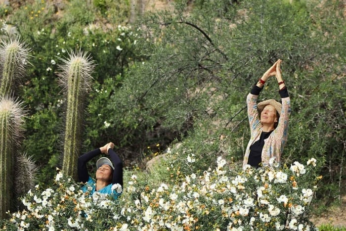 Vale do Elqui: Workshop de técnicas de mindfulness na natureza
