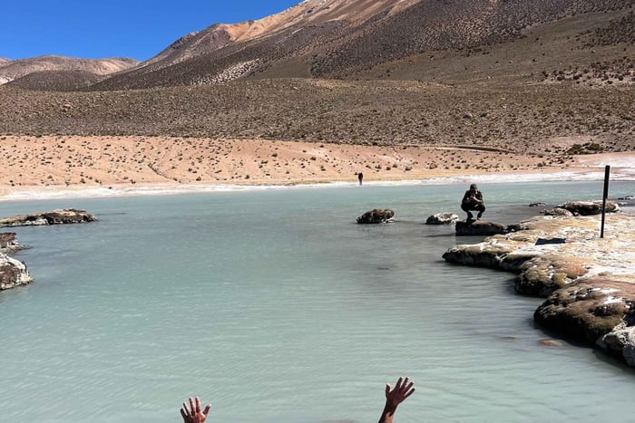 Depuis Putre : visite du salar de Surire en 4x4 et source chaude de Polloquere