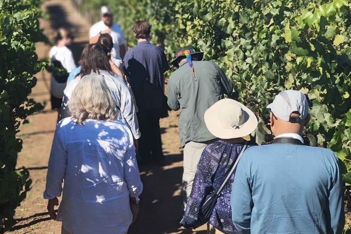 De Santiago: Ruta del Vino Valle del Aconcagua