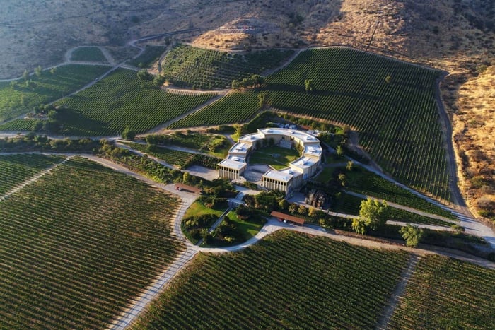 Desde Santiago: tour de vinos privado por el valle del Maipo con catas