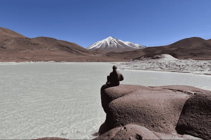 Dia inteiro Lagoas Altiplanicas, Piedras Rojas e Lagoa Chaxa