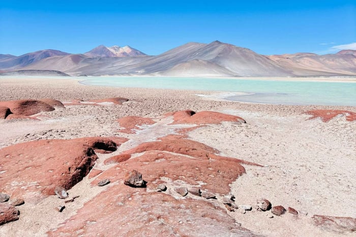 Excursão turística de dia inteiro a Piedras Rojas, às lagoas do altiplano e ao Salar de Atacama