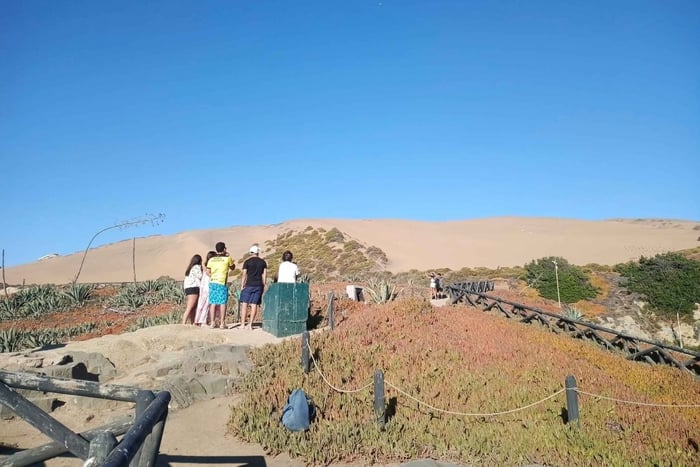 Guided tour of Viña del Mar/Reñaca/music, beaches, vantage points and nature
