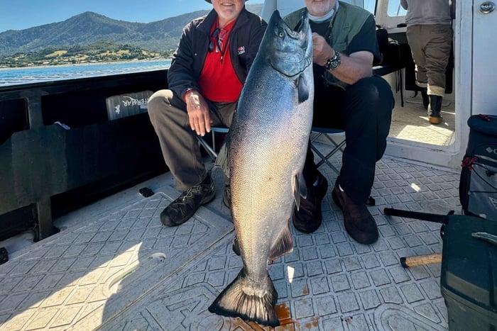 Half-Day Sea Fishing Tour - Chinook Salmon Fishing