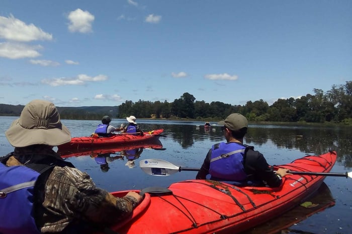 Kayak dans le sanctuaire de Río Cruces