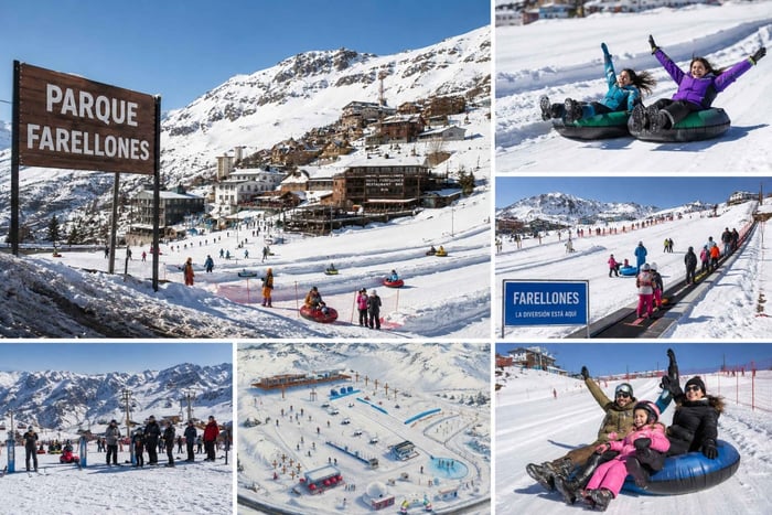 Mountain Range & Santiago: Farellones + Valle Nevado Sightseeing Tour and Santiago City Tour