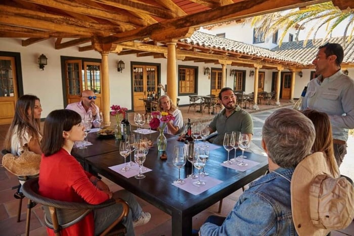 Palmilla: Wine and Flavors Tour