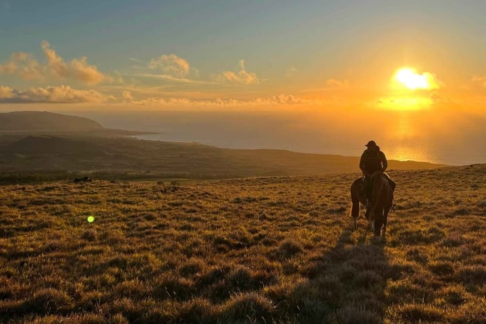 Promenade à cheval privée à Terevaka : découvrez la nature sauvage de Rapa Nui