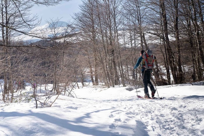 Pucón: Excursão de esqui em Villarrica, Quetrupillán ou Lanín