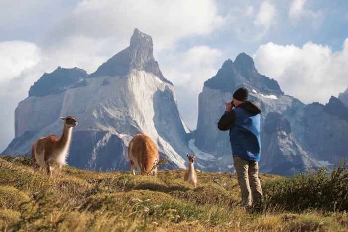 Puerto Natales: Ganztag Torres del Paine + Milodon Höhle