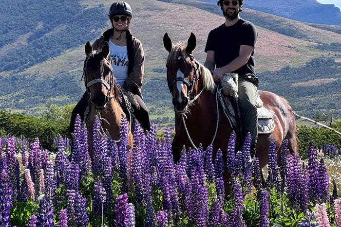 Puerto Natales: Paseos a Caballo con Horse Connection