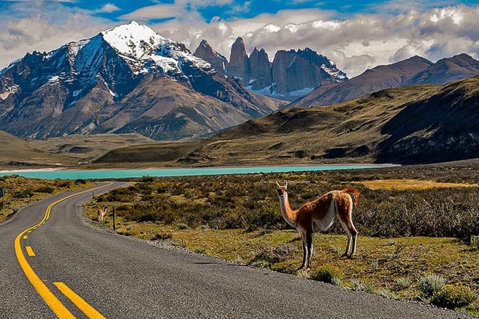 Puerto Natales: Torres del Paine & Grey Glacier Full-Day