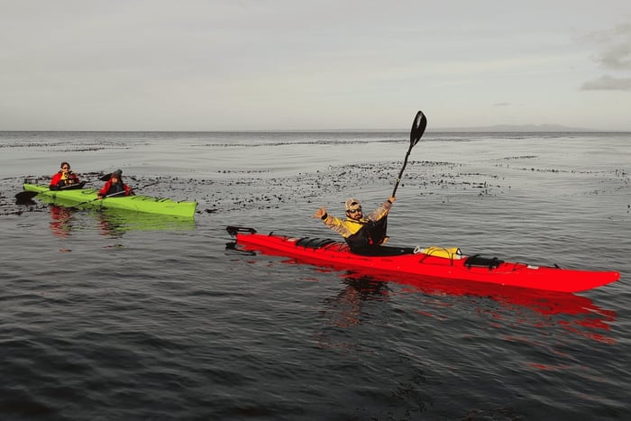 Punta Arenas: Kayaking Trip with Wildlife