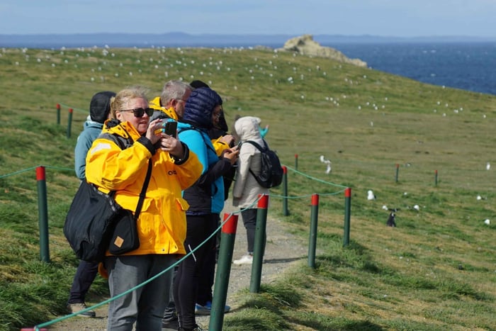 Punta Arenas: Isola Magdalena - Pinguini e passeggiata al faro