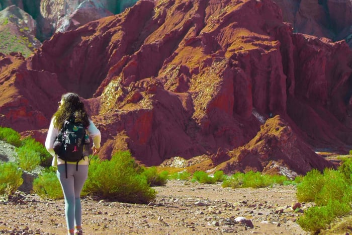 Rainbow Valley Tour: Fortryllende farver og smage