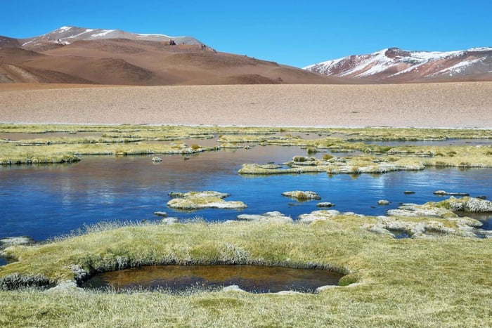 Ruta de los Salares - wycieczka z przewodnikiem: San Pedro de Atacama - Chile