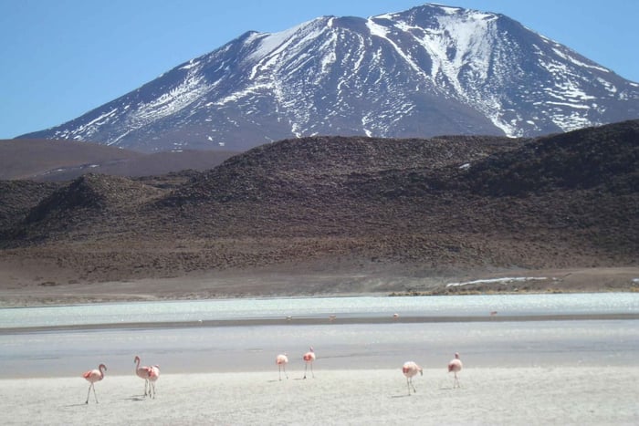 San Pedro de Atacama: 3 dager Tur til Uyuni og tilbake til San Pedro