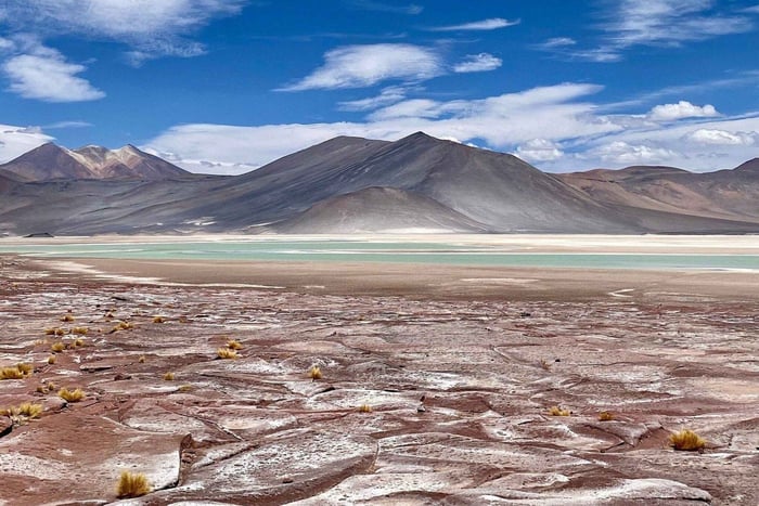 Från San Pedro de Atacama: Dagsutflykt till Andernas högland med måltider