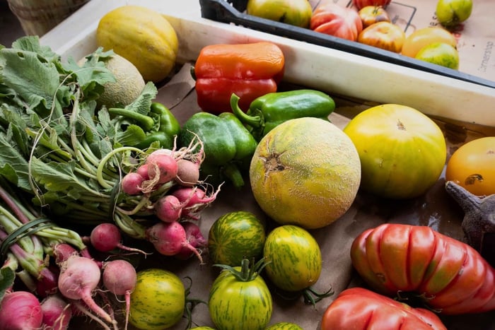 Santiago: clase de cocina de la granja a la mesa y tour del vino