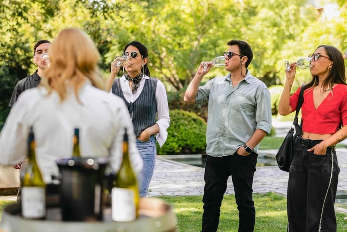 Santiago: Vintur på Santa Carolina med vinsmaking
