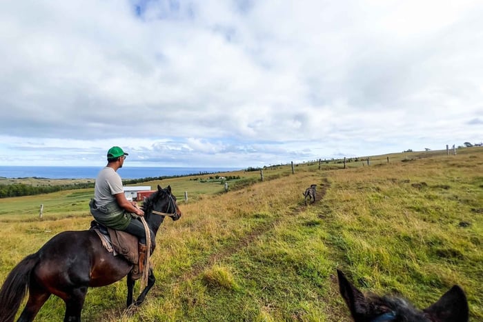 Terevaka Horse Excursion: The highest point and 360° view.