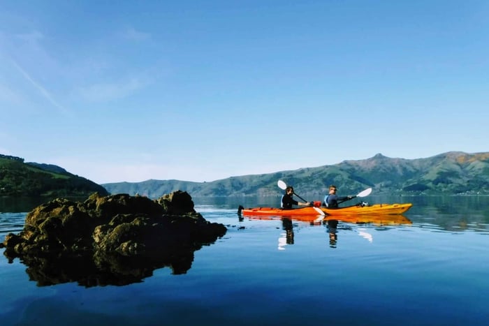 Akaroa: tour en kayak de mar por la reserva marina de Akaroa