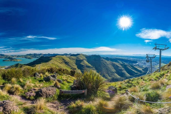 Christchurch City Highlights halvdagstur