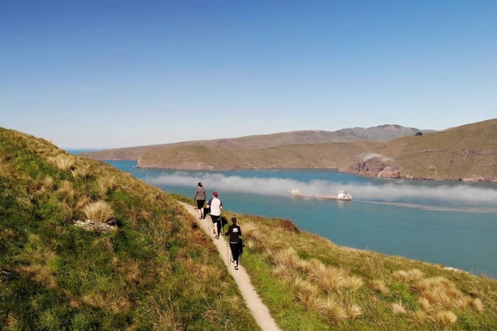 Christchurch: passeggiata guidata sul bordo del cratere con vista sulla costa