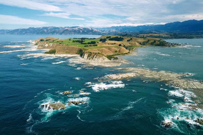 Tour panorámico de ida de Christchurch a Kaikōura