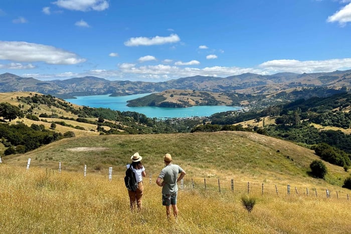 Desde excursión privada de 1 día a Akaroa y paseo en barco por la naturaleza