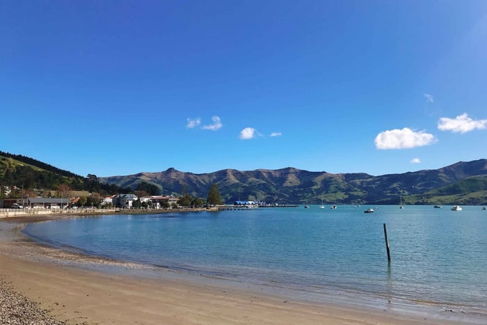 Desde excursión de lujo privada de 1 día a Akaroa