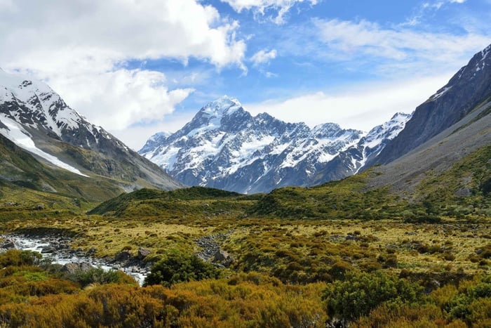 Fra Christchurch: Heldagstur til Mount Cook og Lake Tekapo