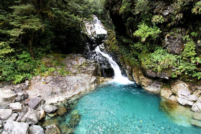 Nueva Zelanda: tour privado de 9 días con 14-16 actividades