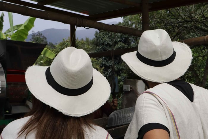 Bogotá: tour guidato di mezza giornata in una piantagione di caffè
