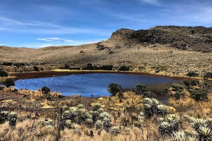 Bogotá: Guidet vandretur i Sumapaz Páramo med frokost