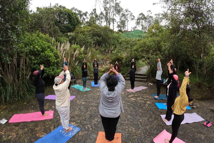 Bogotá: Yoga, meditation och plantering i Usaquén-bergen