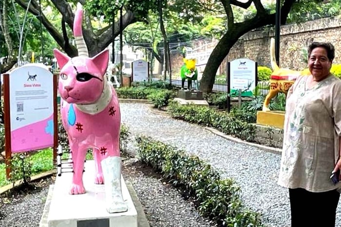 Cali : visite sur l’histoire de la salsa, musées, culture et Boulevard del Río