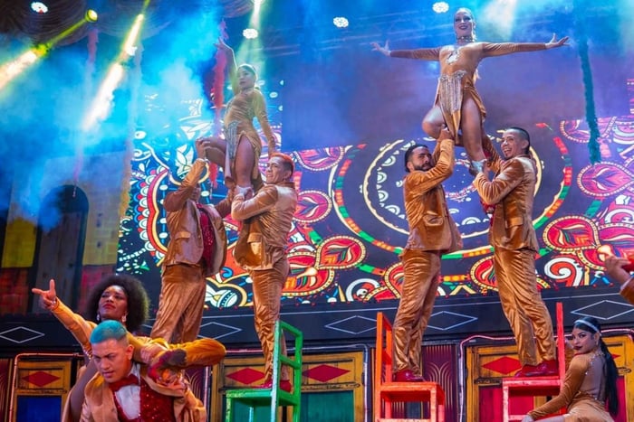 Cali : spectacle de salsa, dîner et fête locale