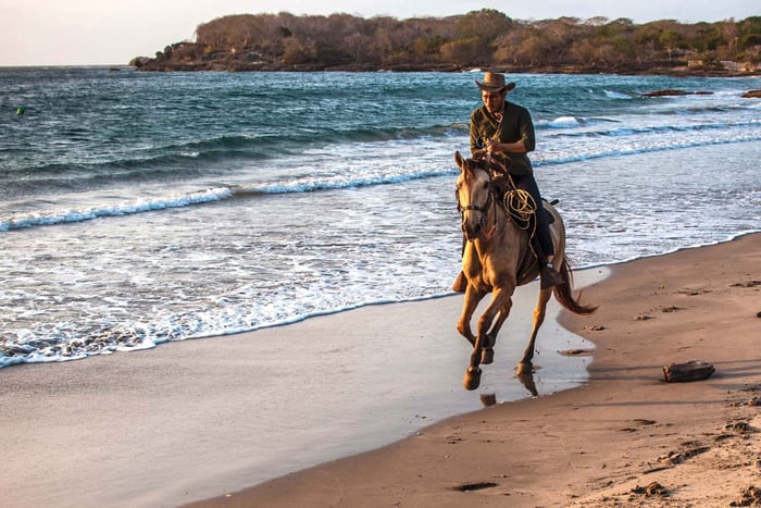 Cartagena, Blue Apple Beach, Horse Treks