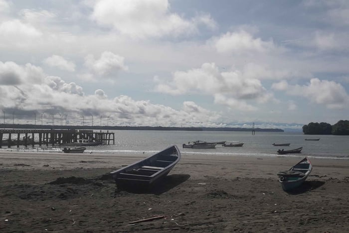 Excursão de um dia para observação de baleias a partir de Cali - Domingos -