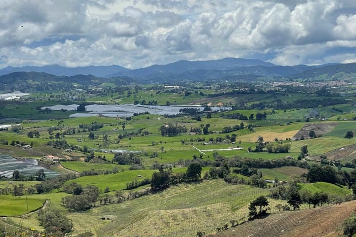 El Carmen de Viboral: La Madera Trail Private Hike