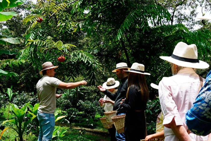 From Bogotá: Coffee Farm and Tequendama Falls Tour