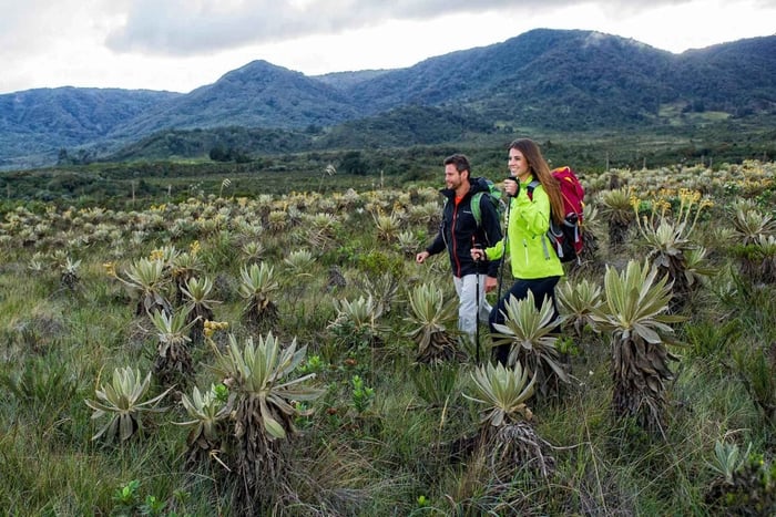 De Popayán: Cascatas do Parque Nacional de Puracé