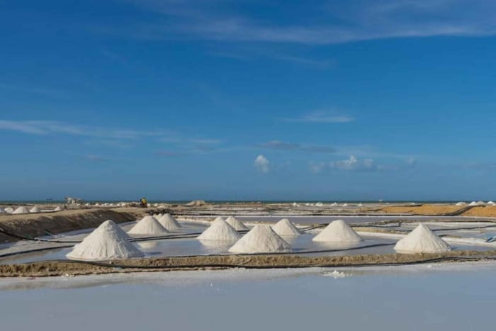 La Guajira: Manaure Salt Mines Tour and Wayuu Ranch