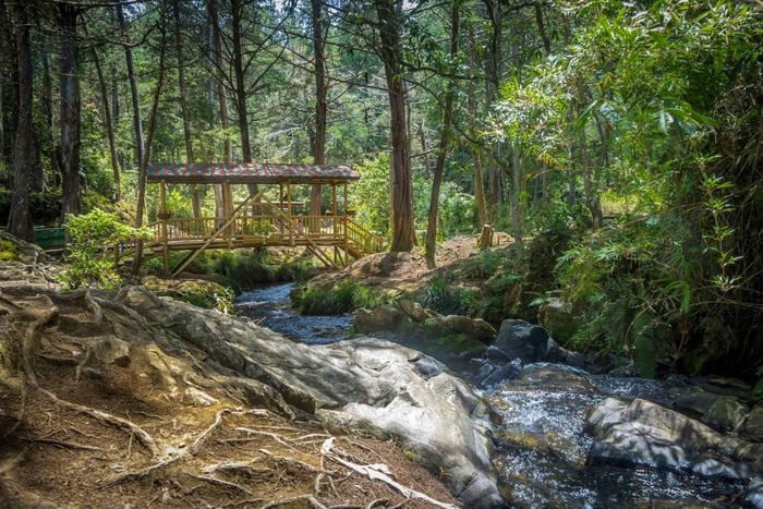 Medellin: Arvi Park, Cable Car & Water Streams Tour