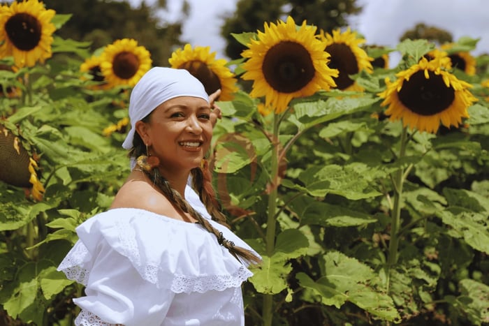 Bloemenfestival van Medellín: Santa Elena Silleteros-ervaring