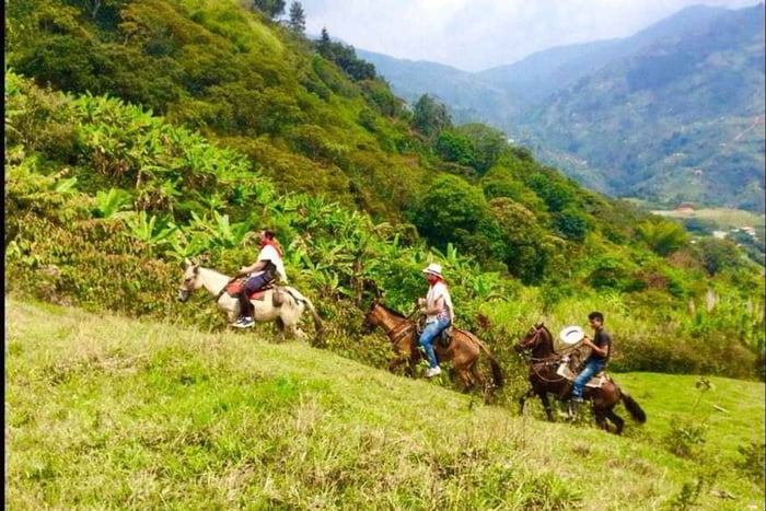 MEDELLÍN: Ausritt auf einer traditionellen kolumbianischen Ranch