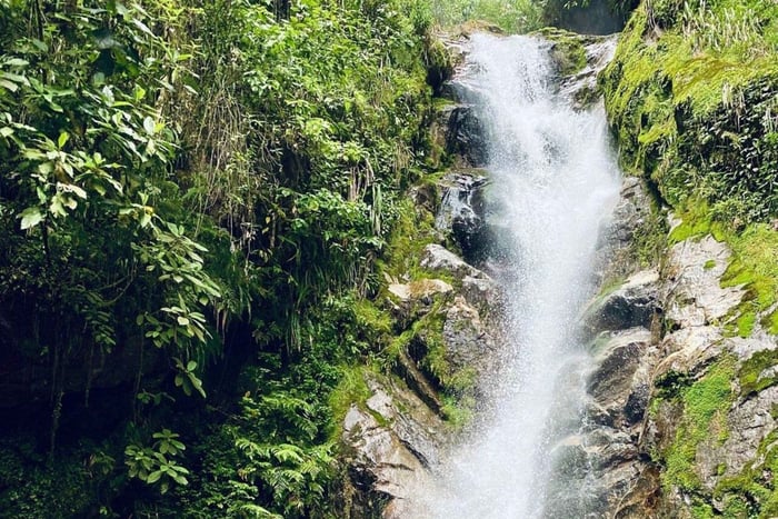 Medellín: Secret Waterfall Hike Tour with Snack and Coffee
